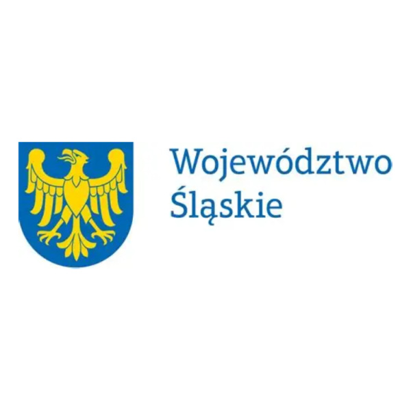Cyfrowa odpowiedzialność w praktyce szkolnej – krytyczne myślenie  i analiza informacji jako fundament kompetencji kluczowych